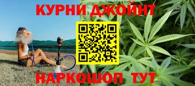 прущие грибы Будённовск