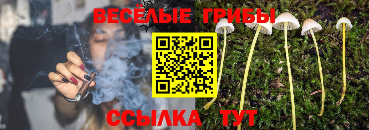 Галлюциногенные грибы MAGIC MUSHROOMS  Галлюциногенные грибы GOLDEN TEACHER  Ростов Великий  Вход с VPN 